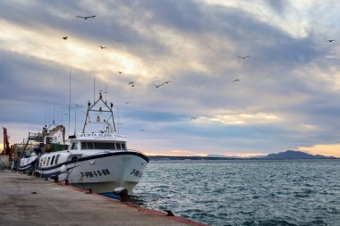 Santa Pola, Alicante, İspanya - 26 Kasım 2025: Santa Pola limanında demirli balıkçı tekneleri gün batımında