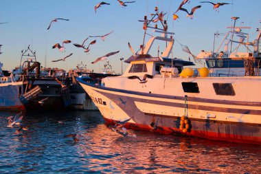 Santa Pola, Alicante, İspanya... 26 Kasım 2025, Santa Pola limanına gün batımında dönen balıkçı teknesi.