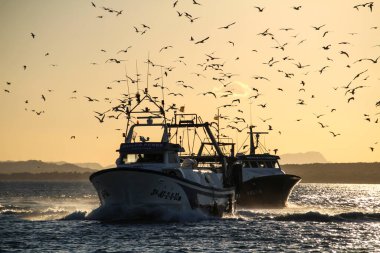 Santa Pola, Alicante, İspanya... 26 Kasım 2025, Santa Pola limanına gün batımında dönen balıkçı teknesi.