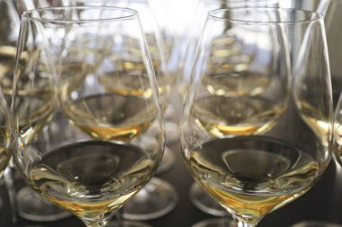 İspanya 'da bir restoranda beyaz şarap bardakları