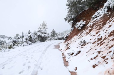 Albacete, İspanya 'da Sierra de Alcaraz' da karlı manzara