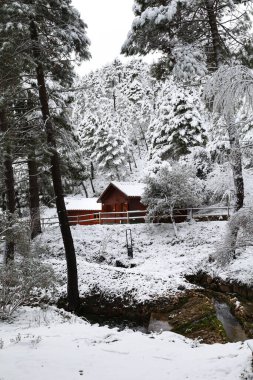Sierra de Alcaraz, Albacete, İspanya 'da güzel ahşap kulübeleri olan karlı bir manzara.