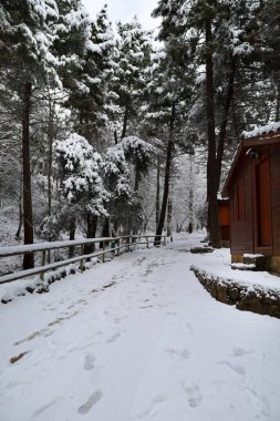 Sierra de Alcaraz, Albacete, İspanya 'da güzel ahşap kulübeleri olan karlı bir manzara.