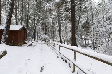 Sierra de Alcaraz, Albacete, İspanya 'da güzel ahşap kulübesi olan karlı bir manzara.