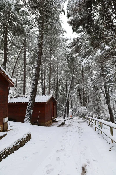 Sierra de Alcaraz, Albacete, İspanya 'da güzel ahşap kulübeleri olan karlı bir manzara.