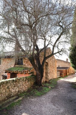 Riopar Viejo 'daki taş evler, güneşli bir günde güzel bir ortaçağ kasabası. Albacete, İspanya.