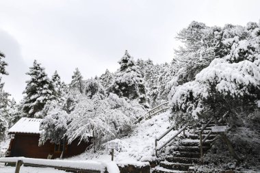 Riopar, Albacete, İspanya - 23 Ocak 2026: Sierra de Alcaraz, Albacete, İspanya 'da güzel ahşap kulübe ile karlı manzara