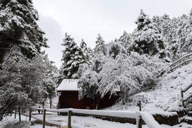 Riopar, Albacete, İspanya - 23 Ocak 2026: Sierra de Alcaraz, Albacete, İspanya 'da güzel ahşap kulübe ile karlı manzara