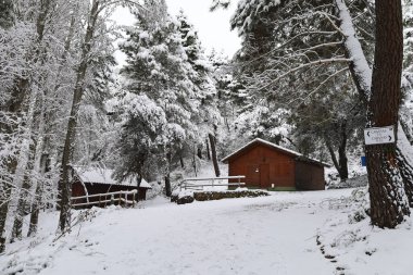 Riopar, Albacete, İspanya - 23 Ocak 2026: Sierra de Alcaraz, Albacete, İspanya 'da güzel ahşap kulübeleri olan karlı manzara
