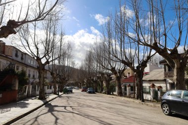 Riopar, Albacete, İspanya - 23 Ocak 2026: Güneşli bir günde Riopar kasabasında asırlık Platanus Hispanica ağaçları. Riopar, Albacete ili, İspanya