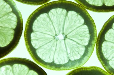 Parlak beyaz arkaplanda yeşil renkli limon dilimleri