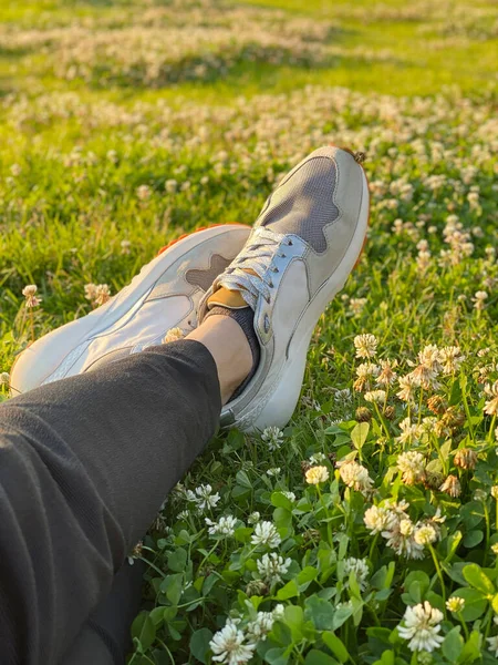 日没の光線の公園の牧草地に横たわっているスニーカーの男の足 — ストック写真