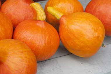 Gri bir arka plan üzerinde kabak