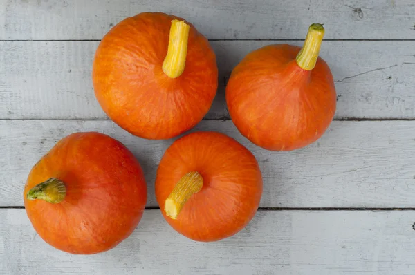 Pumpkin on a gray background — Stock Photo, Image