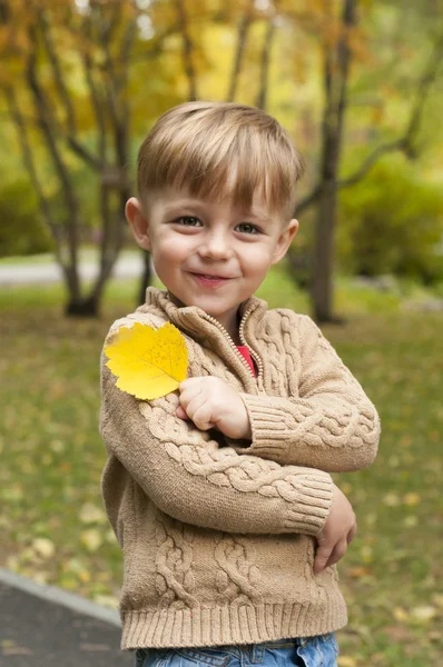 Chłopiec z żółty liść — Zdjęcie stockowe