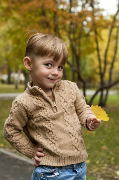 노란 잎 소년 — 스톡 사진