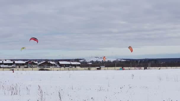 Winter snowkiting on the field. — Stock Video