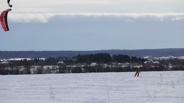 Snowkiting inverno no campo . — Vídeo de Stock