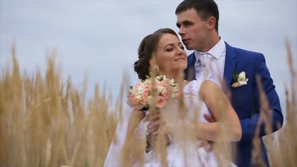 Glada vackra bruden och brudgummen på fältet — Stockvideo