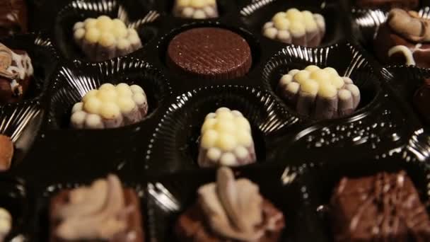 Collection de bonbons au chocolat . — Video