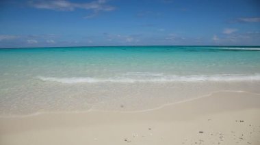 Güzel sahil ve tropikal deniz