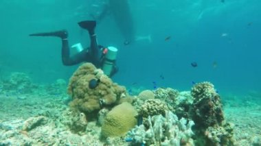 Skuba dalgıcı suyun altında