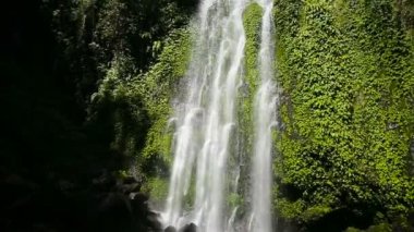 Güzel tropik şelale.