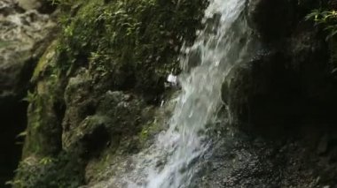 Güzel tropik şelale.