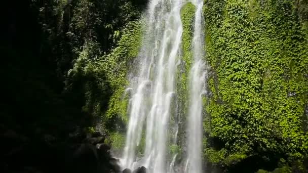 美丽的热带瀑布. — 图库视频影像