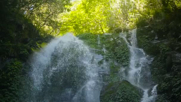 Beautiful tropical waterfall. — Stock Video