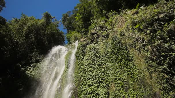 Bela cachoeira tropical. — Vídeo de Stock