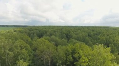 Havadan görünümü. Ormanın üzerinde uçan.