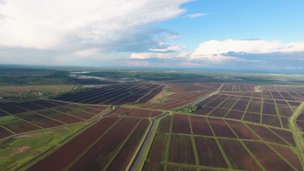 Luftaufnahme von landwirtschaftlichen Flächen — Stockvideo