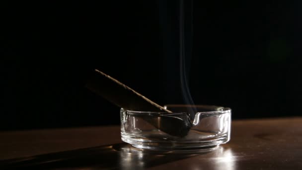 Курение сигары в пепельнице . — стоковое видео