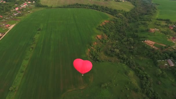 Hot air balloon in the sky over a field.Aerial view — Stock Video