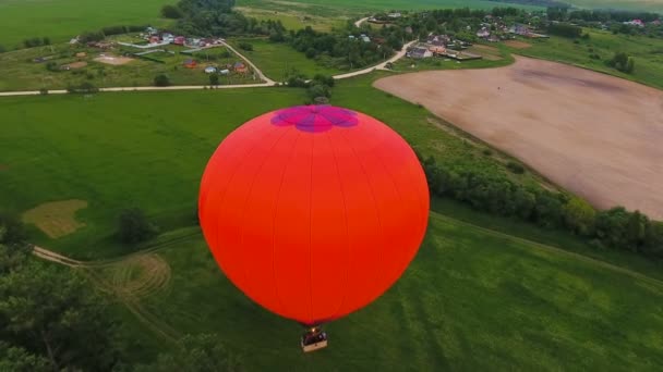 Hot air balloons in the sky over a field.Aerial view — Stock Video