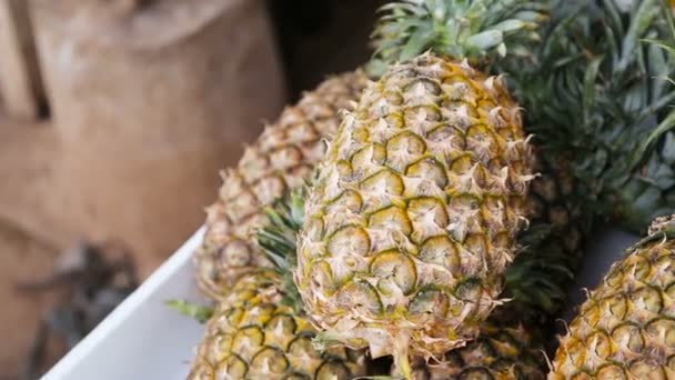 Fresh pineapples in market — Stock Video