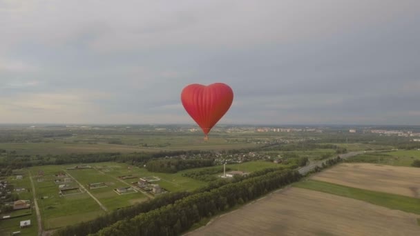 Montgolfière dans le ciel au-dessus d'un champ.Vue aérienne — Video