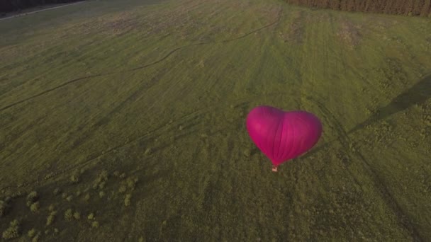 Hot air balloon in the sky over a field.Aerial view — Stock Video