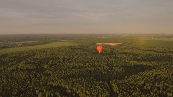 एक फील्ड पर आकाश में गर्म हवा के बैलून. हवाई दृश्य — स्टॉक वीडियो