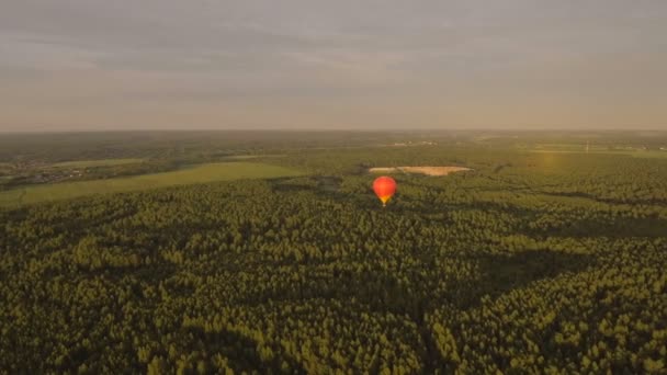 Balonów na ogrzane powietrze w niebo nad polem. Widok z lotu ptaka — Wideo stockowe