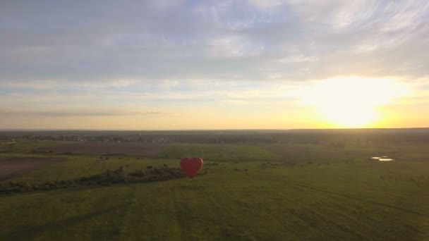 Palloncino ad aria calda nel cielo su un campo. Vista aerea — Video Stock