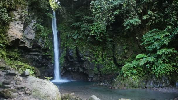 Indah air terjun tropis. — Stok Video