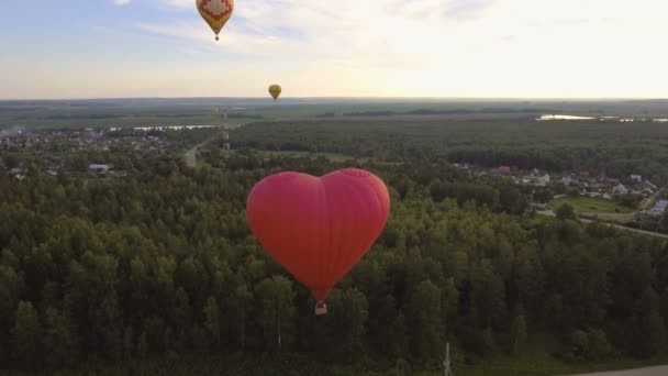 Hete lucht ballonnen in de lucht over een veld. Luchtfoto — Stockvideo