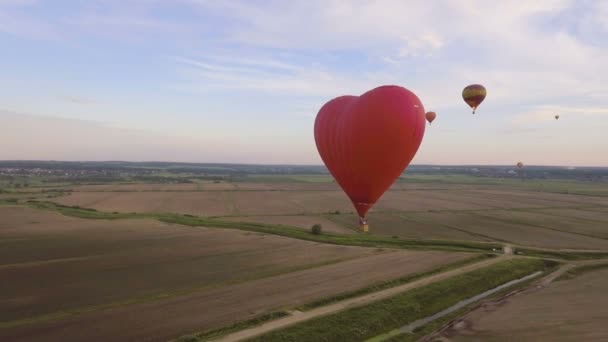 Luftballong i himlen över ett fält. Flygfoto — Stockvideo