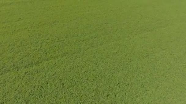 Vue aérienne Voler au-dessus de la forêt.Voler au-dessus du champ vert .