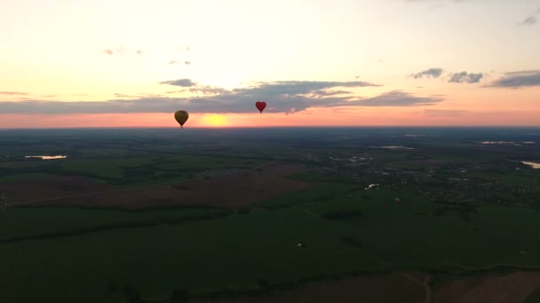 フィールド上空の熱気球。航空写真ビュー — ストック動画