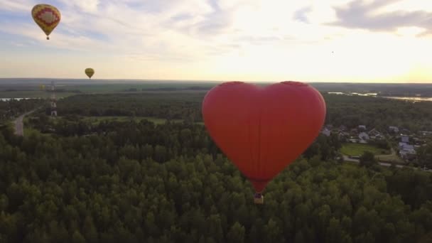 Balon na ogrzane powietrze w niebo nad polem. Widok z lotu ptaka — Wideo stockowe