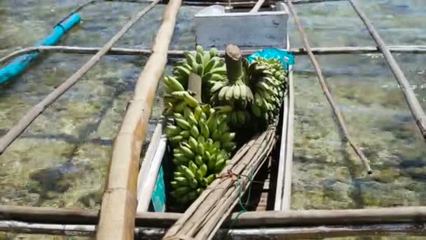 Бананы в лодке — стоковое видео
