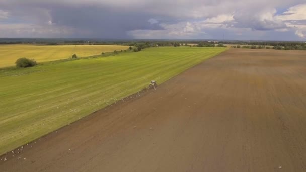 Tractor ploegen een veld.Luchtfoto. — Stockvideo